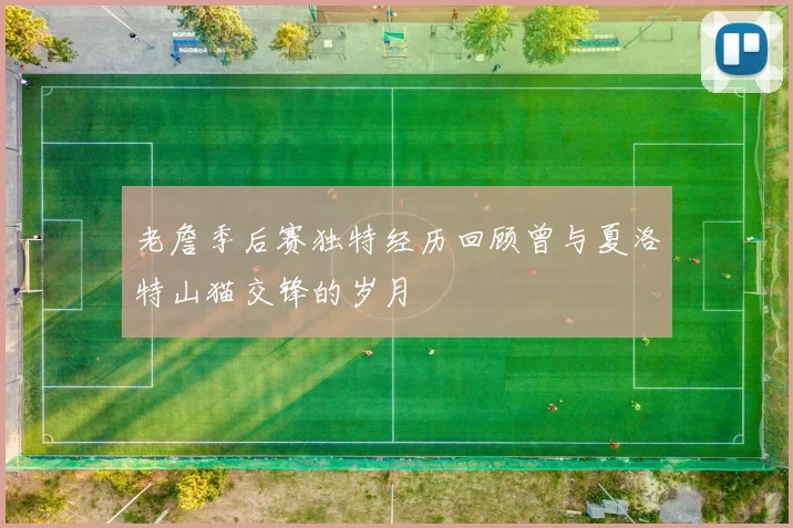 老詹季后赛独特经历回顾曾与夏洛特山猫交锋的岁月